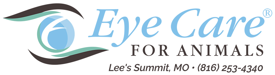 Eye Care for Animals Lee's Summit
