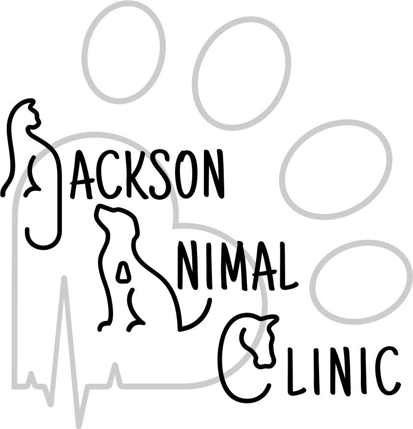 Jackson Animal Clinic