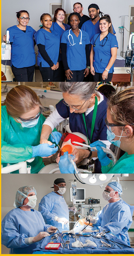 Collage of healthcare training programs featuring nursing students, dental students practicing procedures and surgical technology learners in an operating room.